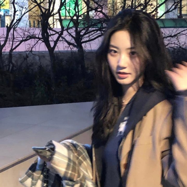 飞上去,企鹅