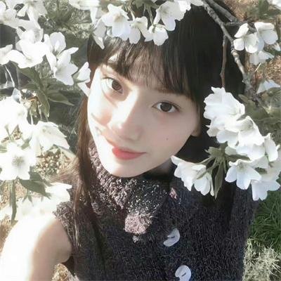 绵羊小铃